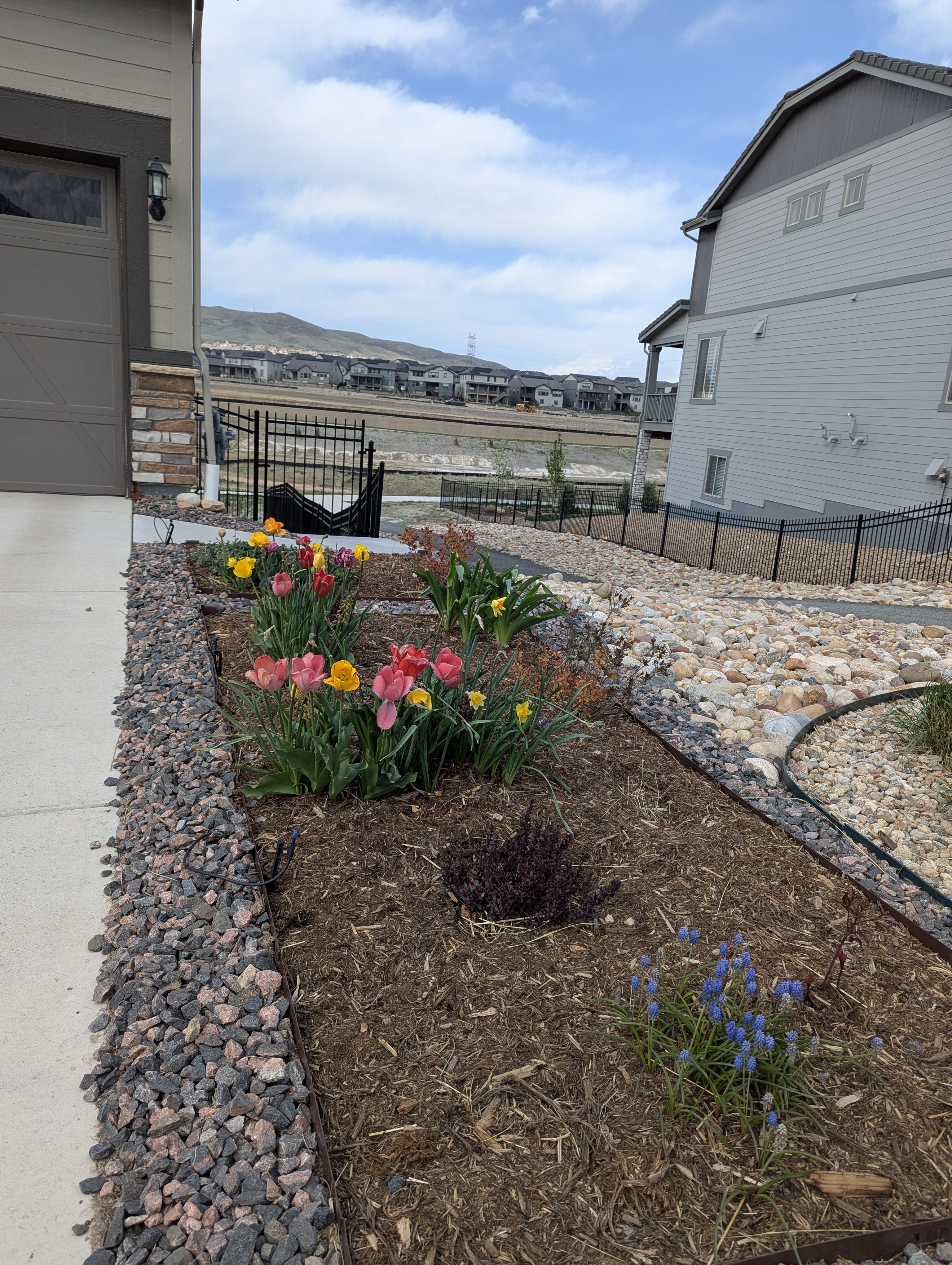 Garden, Flowers, Morrison, Colorado